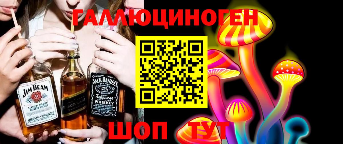 Северобайкальск  Галлюциногенные грибы Psilocybe  Вход с VPN 
